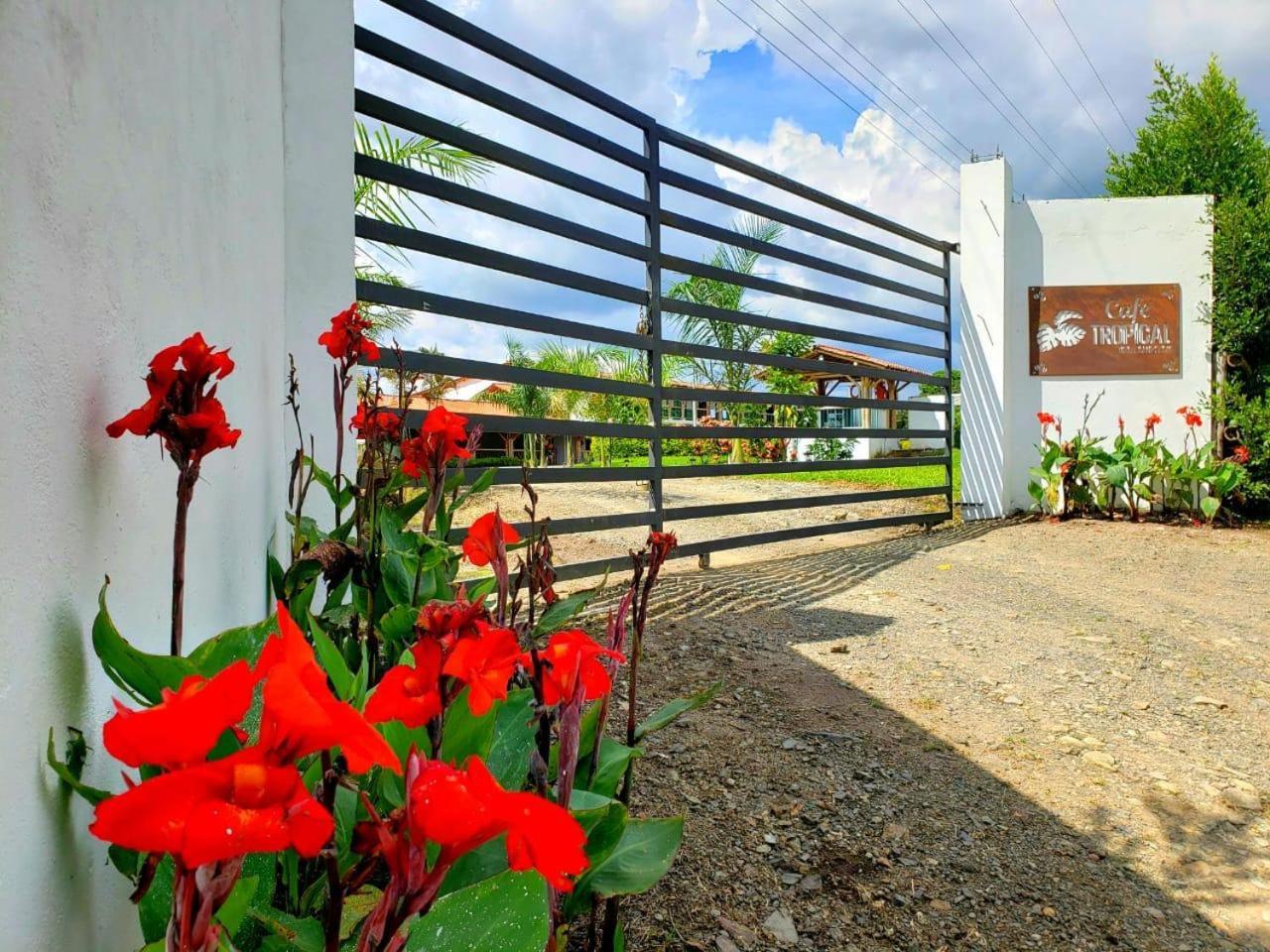 Hotel Campestre Cafe Tropical كويمبايا المظهر الخارجي الصورة